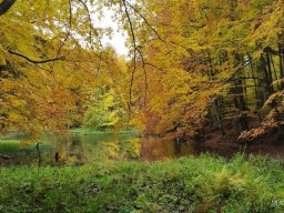 56004455012824037270209066474242614631239094n